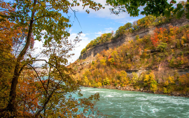 Fall Colors and the Niagara River