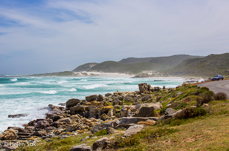 traveling to the edge of the ocean at Cape of Good Hope, South Africa