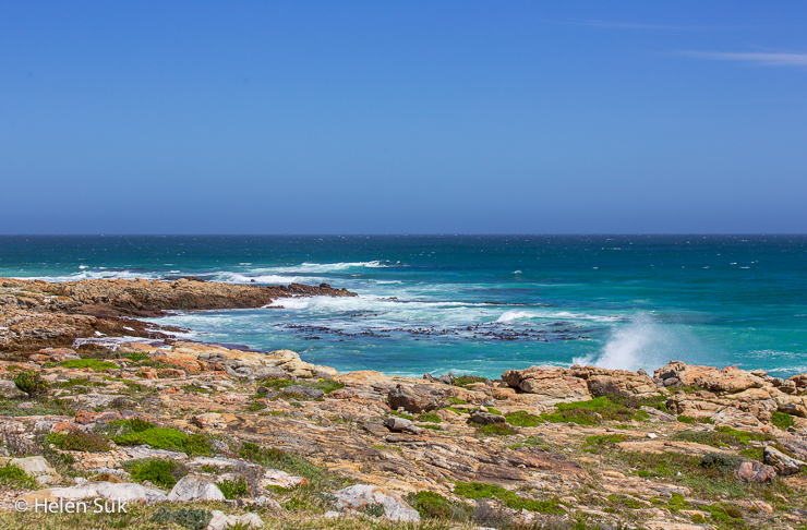 sparkling blue ocean at Cape Point in the Cape Peninsula, South Africa