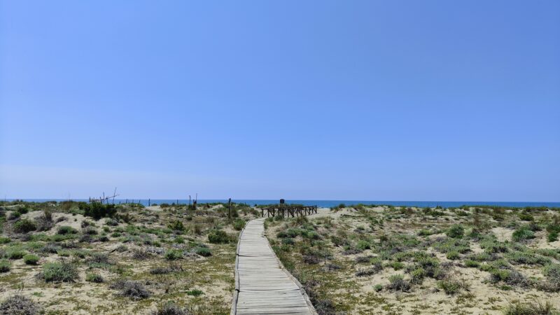 Lecciona Beach