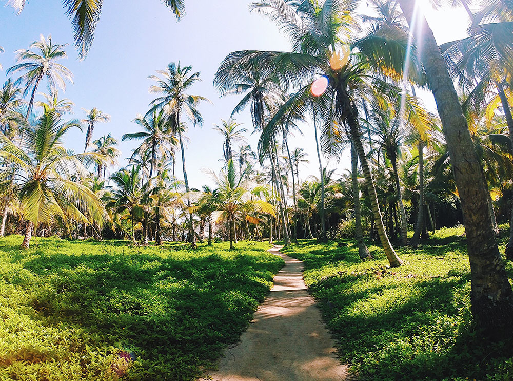 The Ultimate Guide to Hammock Camping At Tayrona National Park @seattlestravels