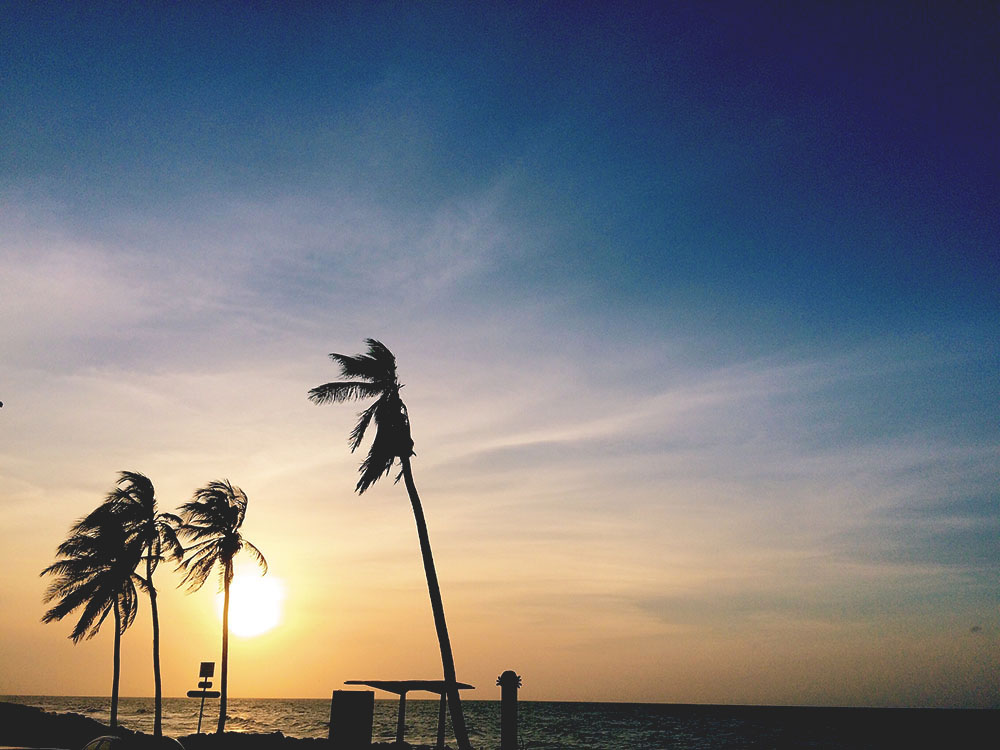 The Ultimate Guide to Hammock Camping At Tayrona National Park @seattlestravels