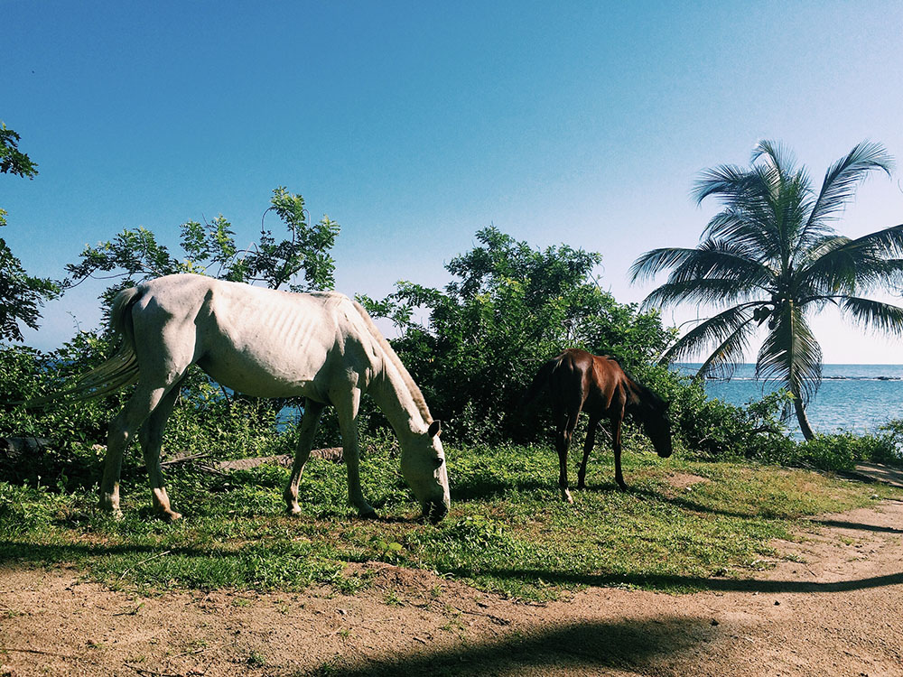 The Ultimate Guide to Hammock Camping At Tayrona National Park @seattlestravels