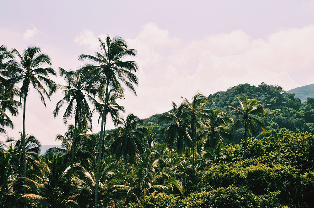 The Ultimate Guide to Hammock Camping At Tayrona National Park @seattlestravels