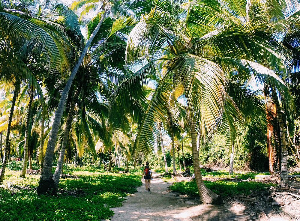 The Ultimate Guide to Hammock Camping At Tayrona National Park @seattlestravels