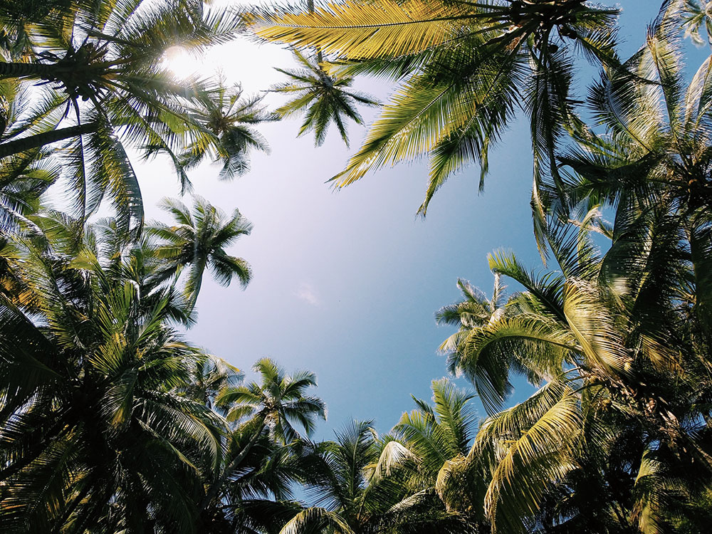 The Ultimate Guide to Hammock Camping At Tayrona National Park @seattlestravels