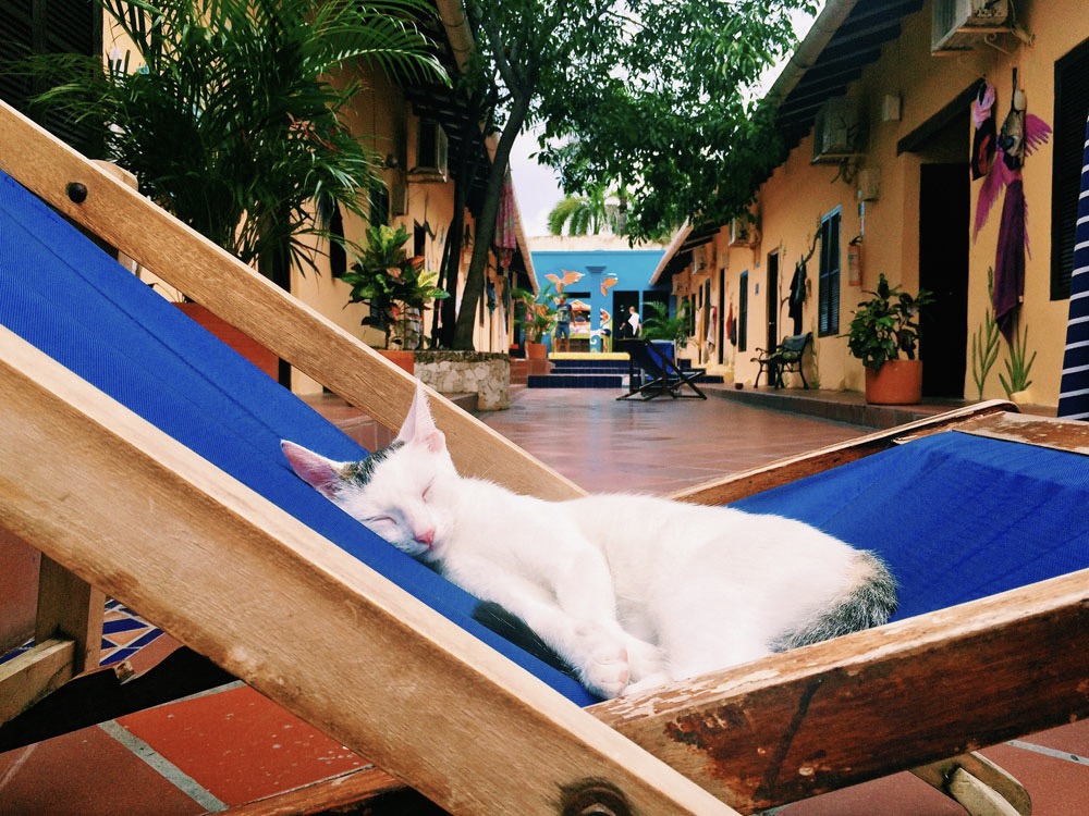 The Ultimate Guide to Hammock Camping At Tayrona National Park @seattlestravels