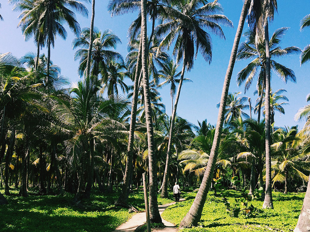 The Ultimate Guide to Hammock Camping At Tayrona National Park @seattlestravels