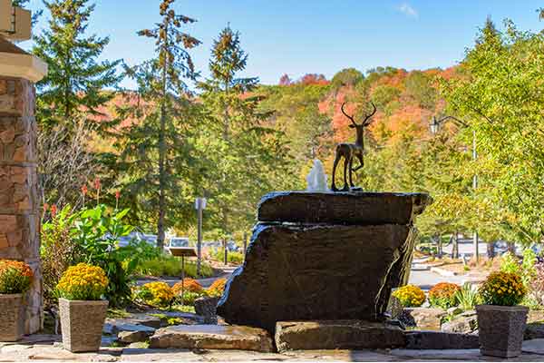 ToDoOntario - Fall colours at Deerhurst Resort, Deer at entrance