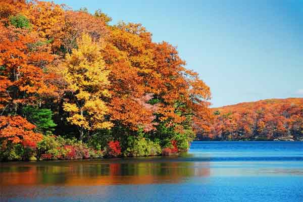 ToDoOntario - Cedar Grove Lodge, fall getaways