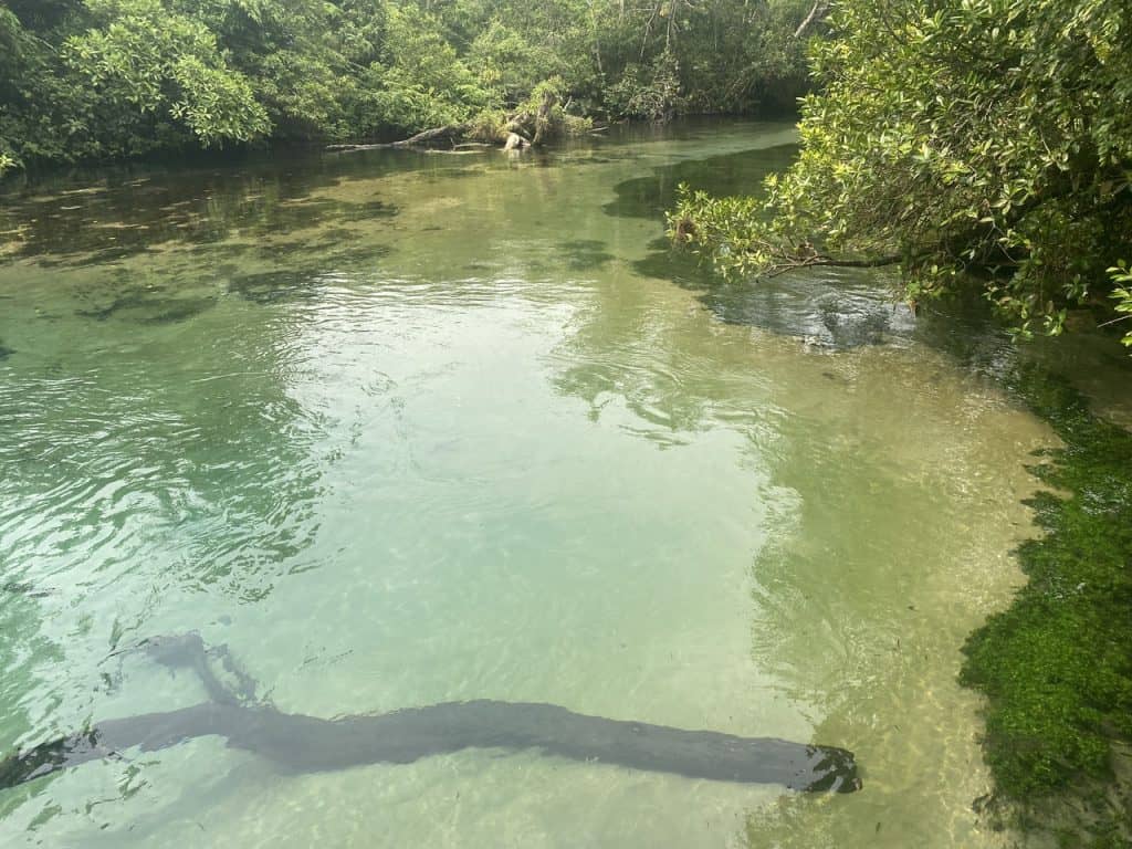 crystal clear water of Rio da Prata