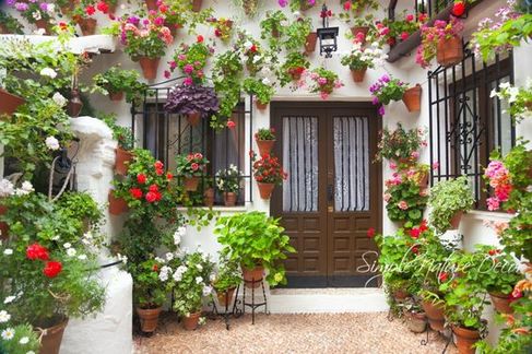 Hanging Pot Garden