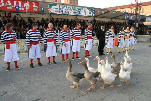 Goose in Italy