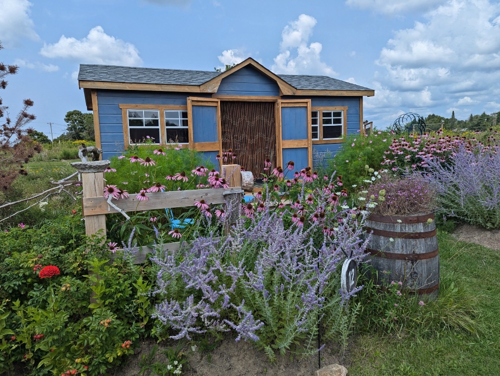 Lavender Blu shop surrounded by various flowers, including lavender