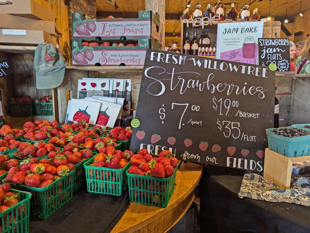 Fresh strawberries from Willowtree Farm on display in small baskets.