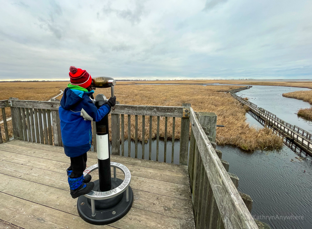 Point Pelee National Park Boardwalk March viewing area