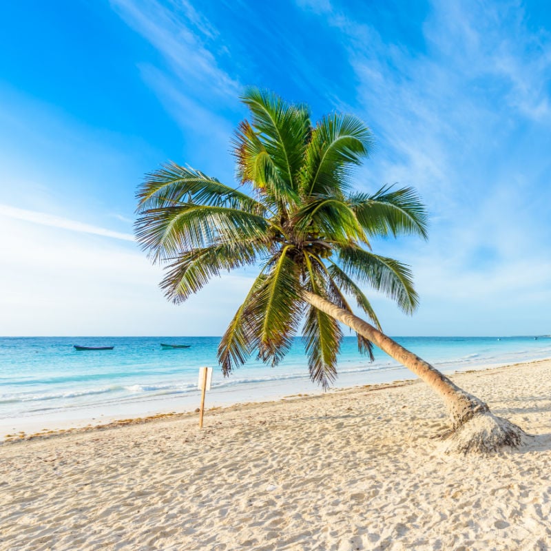 Paradise Beach (Playa Paraiso) in Tulum