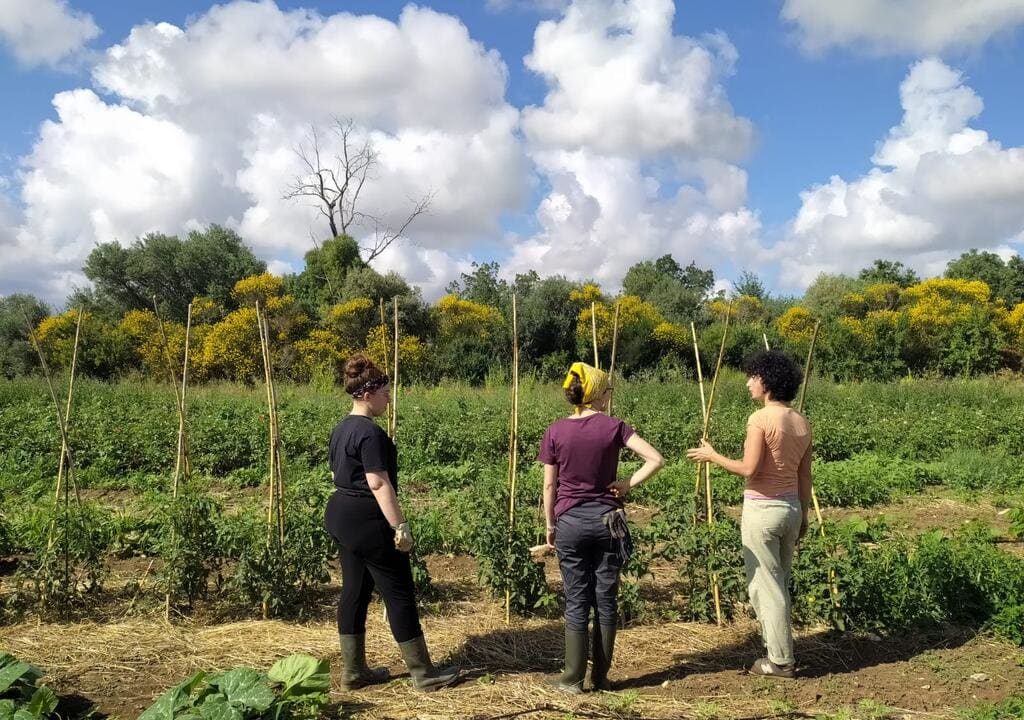 italian-farm-adventure