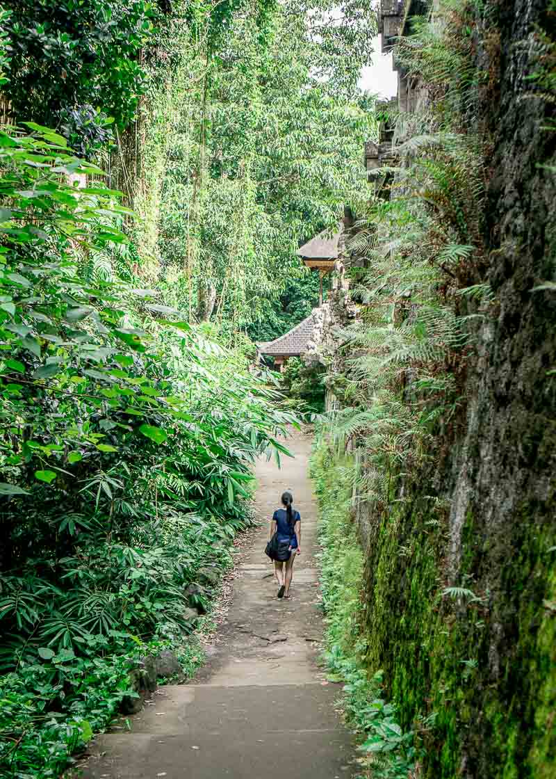 Why The Beautiful Campuhan Ridge Walk in Ubud Bali Is Worth A Visit | If you are looking for Bali travel tips and beautiful places to visit, especially in Ubud, click to read more! This guide is something you should consider in your itinerary for Bali. #bali #ubud #balitrip #ubudbali #balitravel