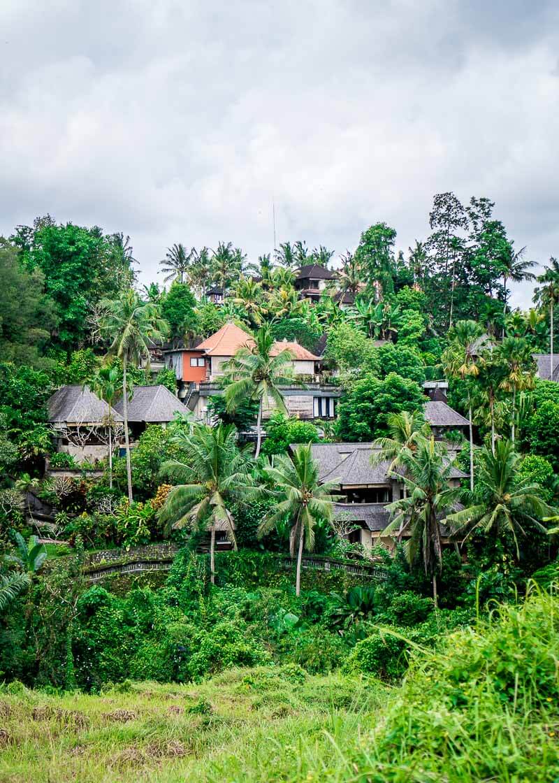 Why The Beautiful Campuhan Ridge Walk in Ubud Bali Is Worth A Visit | If you are looking for Bali travel tips and beautiful places to visit, especially in Ubud, click to read more! This guide is something you should consider in your itinerary for Bali. #bali #ubud #balitrip #ubudbali #balitravel