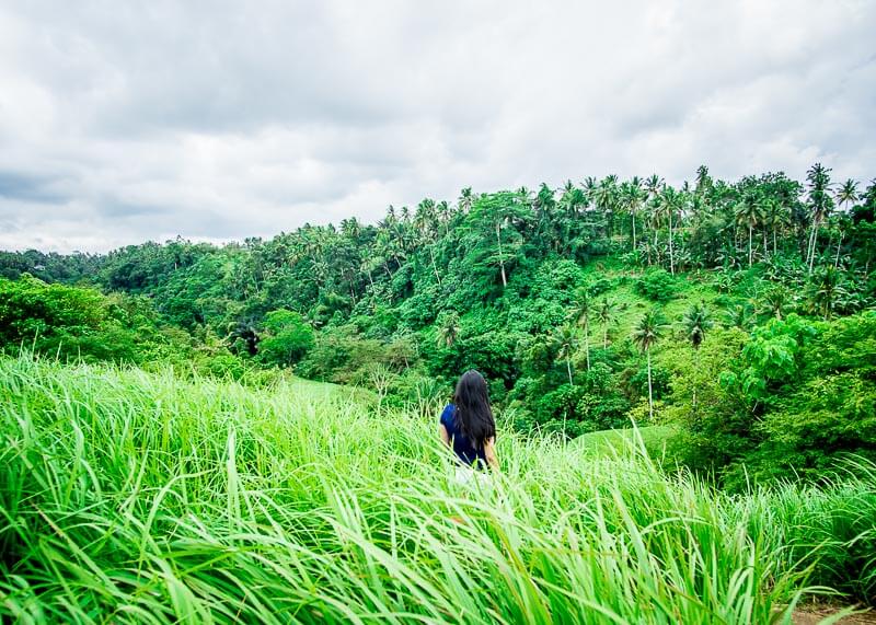 Why The Beautiful Campuhan Ridge Walk in Ubud Bali Is Worth A Visit | If you are looking for Bali travel tips and beautiful places to visit, especially in Ubud, click to read more! This guide is something you should consider in your itinerary for Bali. #bali #ubud #balitrip #ubudbali #balitravel