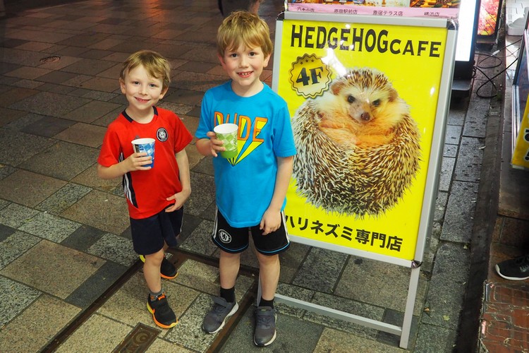 sign outside Harry hedgehog cafe in Harajuku Tokyo Japan