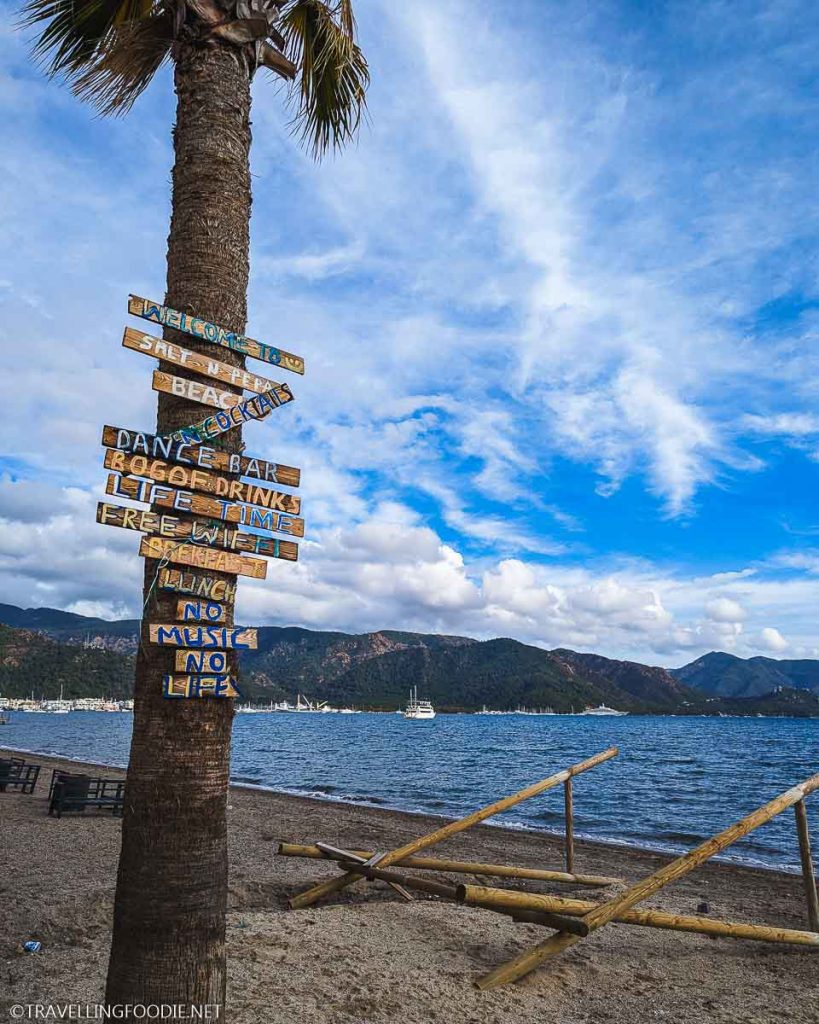 Palm Tree with different signs