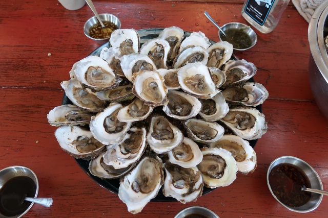 Fresh shucked Green Gables oysters