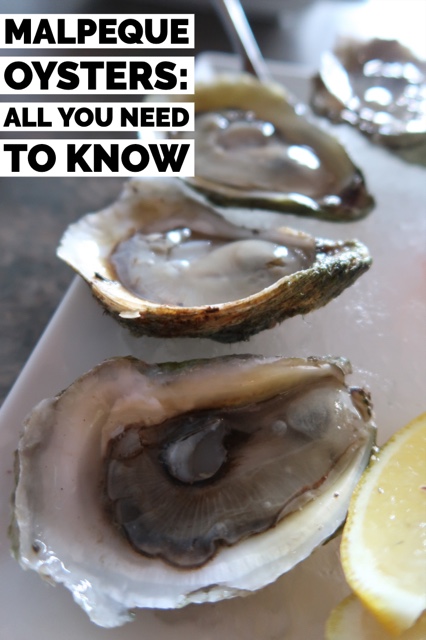 Malpeque Oysters - All You Need To Know