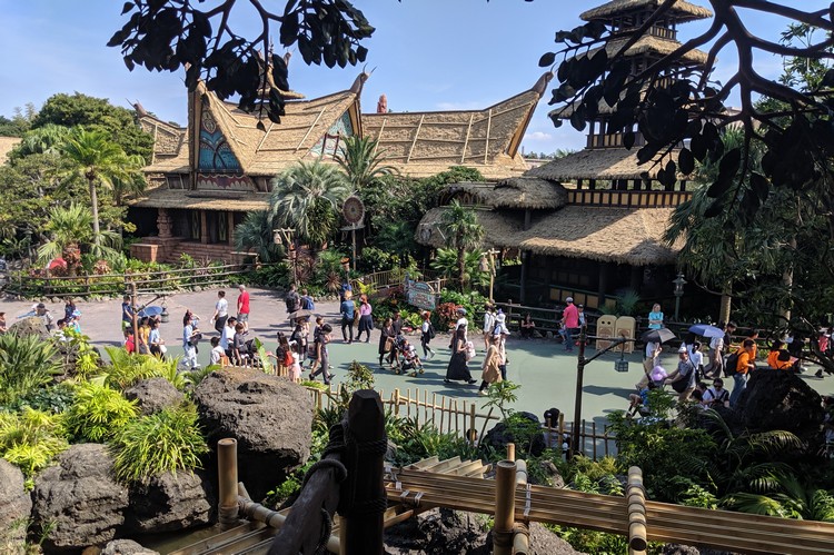 Views of the Enchanted Tiki Room from the Swiss Family Treehouse in Tokyo Disneyland