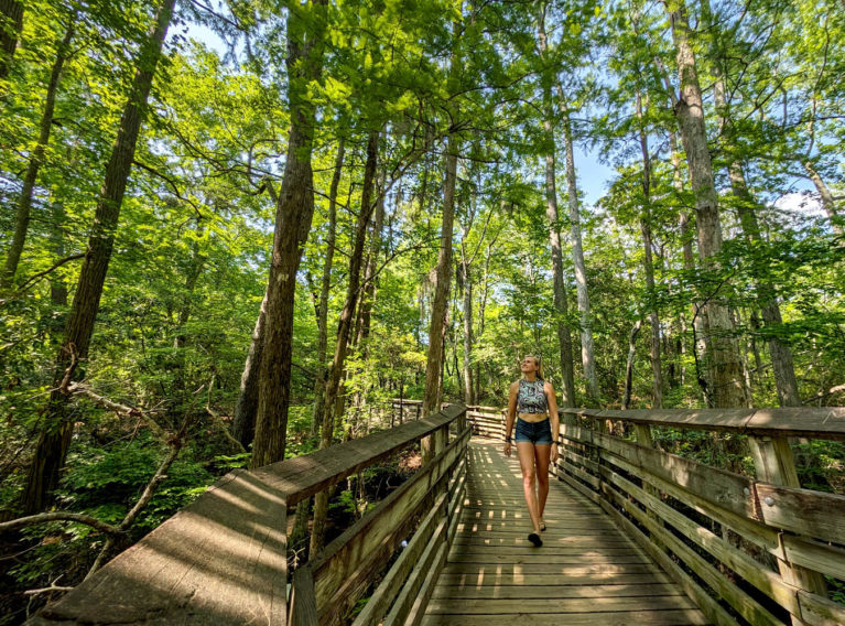 Lindz Walking Along the Boardwalk of the Bald Cypress Trail in First Landing State Park :: I've Been Bit! Travel Blog