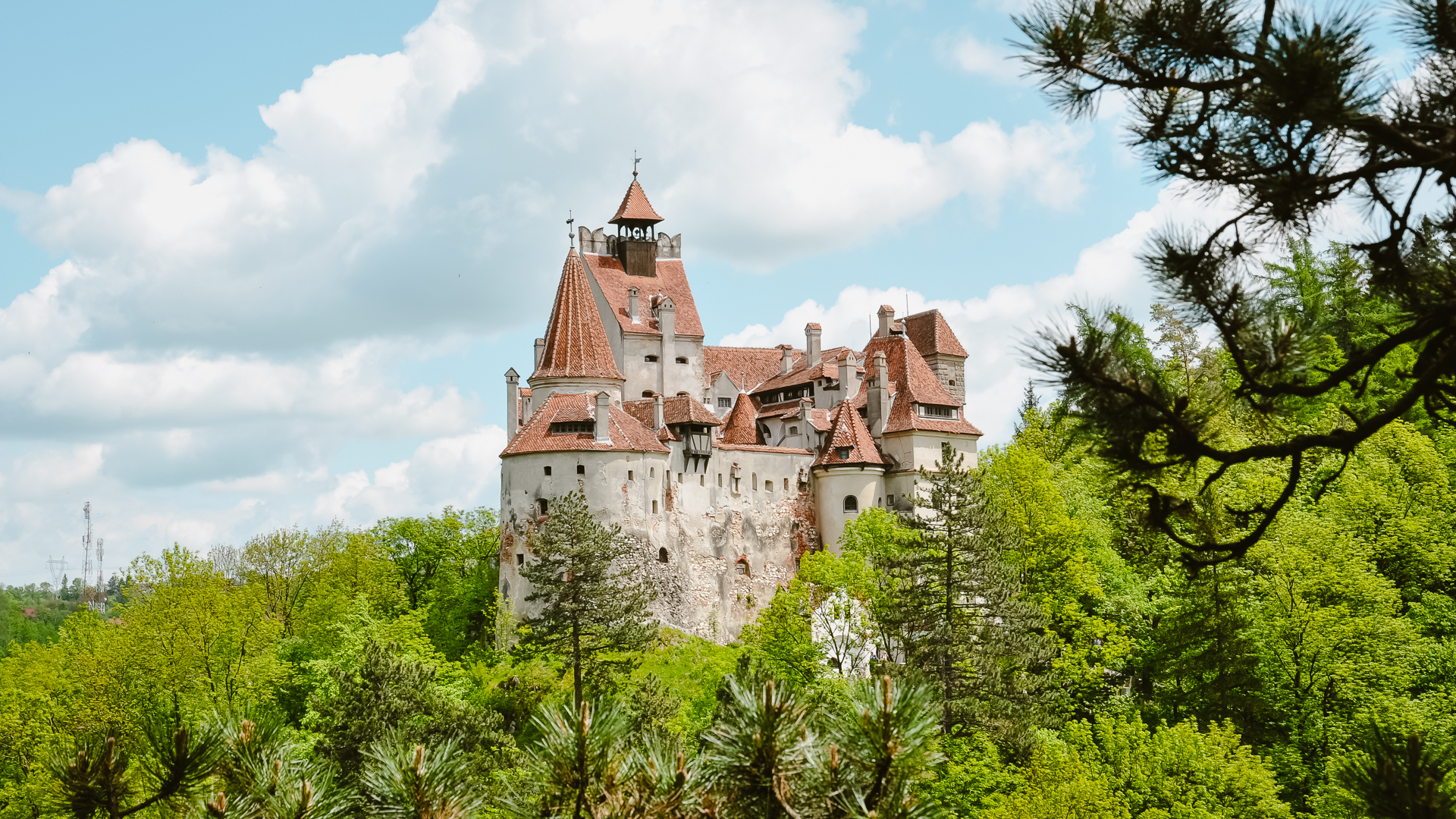 A panoramic view of Bran Castle, known as Dracula's Castle, framed by the nearby forest.