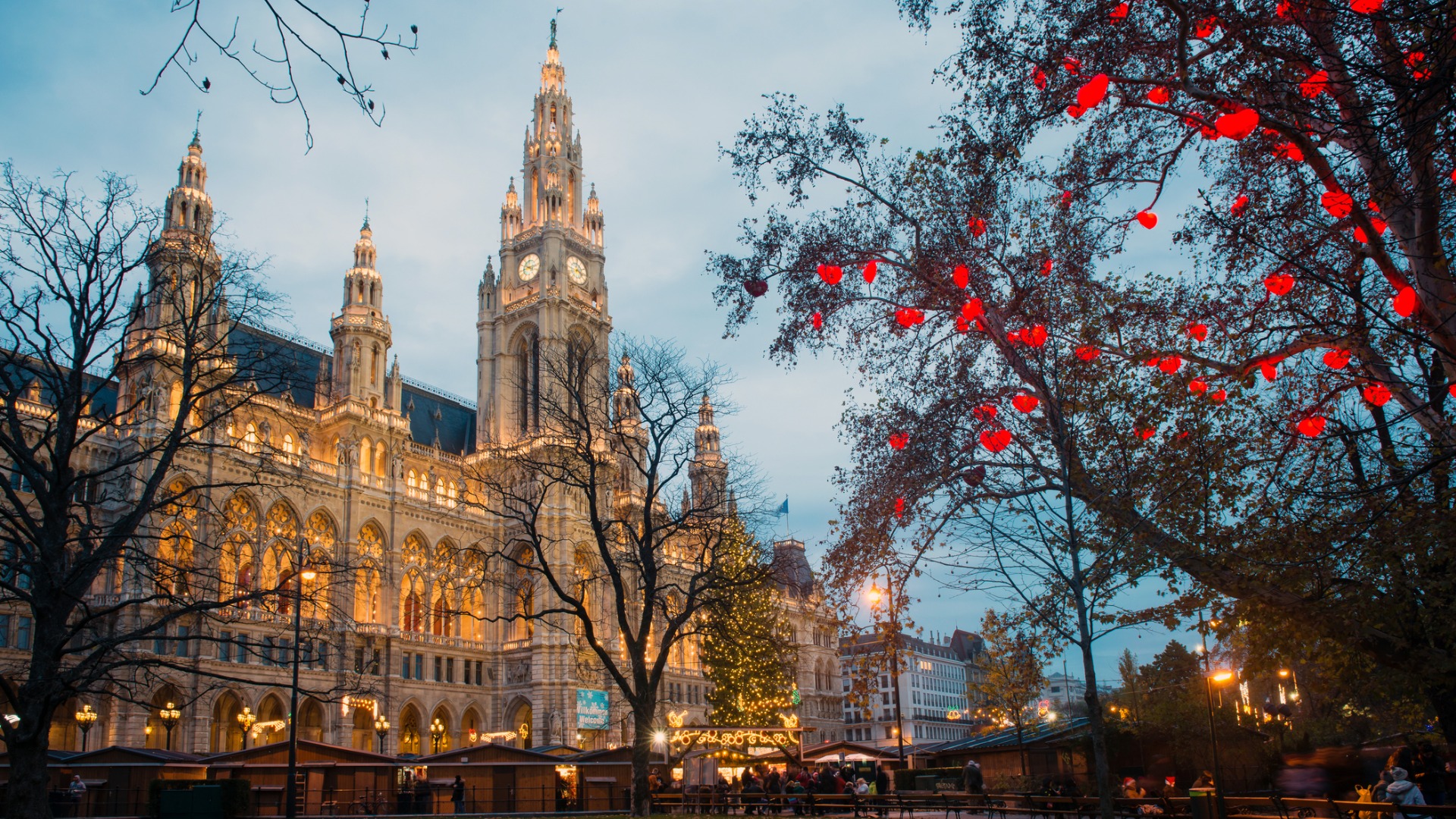 Vienna's City Hall illuminated for the Christmas season.