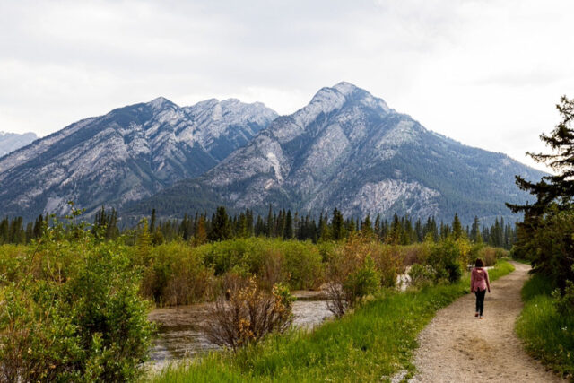 Marsh Loop easy hikes in Banff