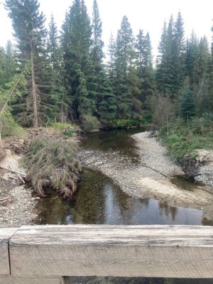 Backcountry Rivers in Nicola Valley