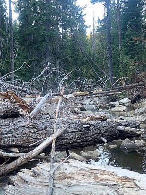 Rivers of the Nicola Valley