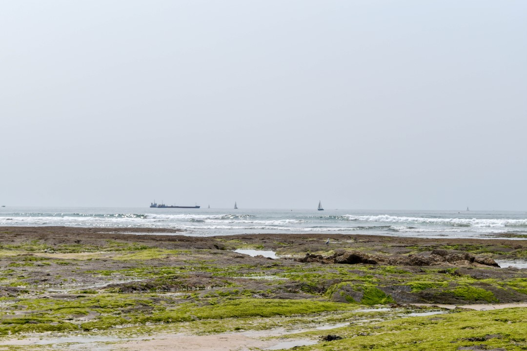 La Grande Plage, Prom. de l'Amiral Lafargue, 85100 Les Sables-d'Olonne