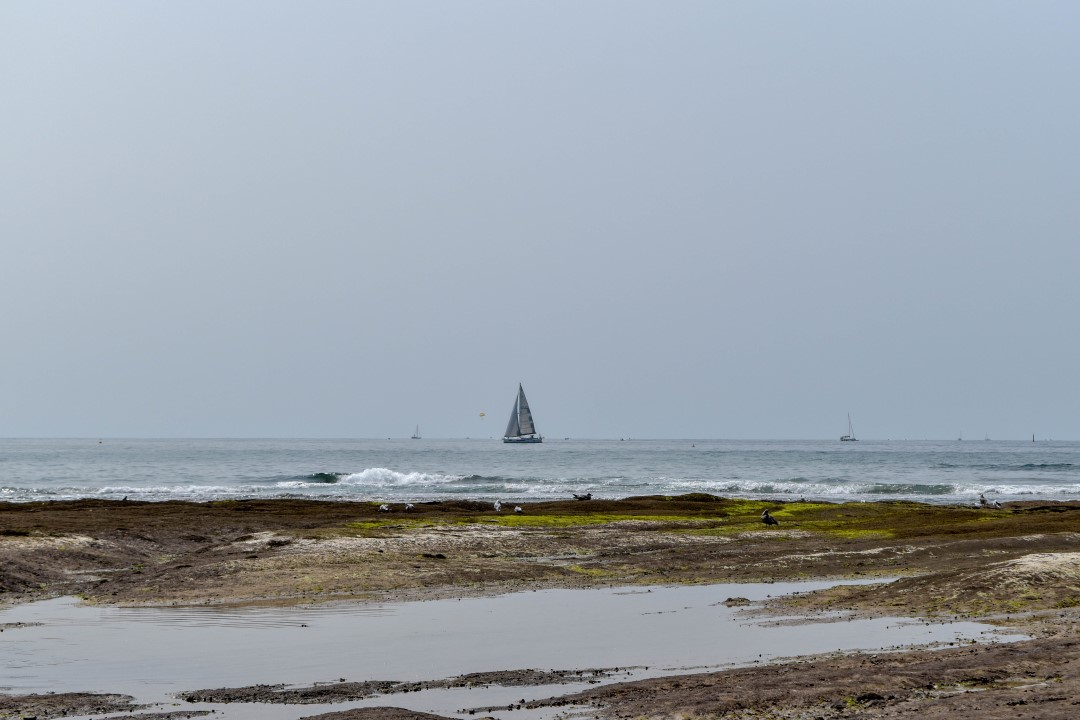 La Grande Plage, Prom. de l'Amiral Lafargue, 85100 Les Sables-d'Olonne