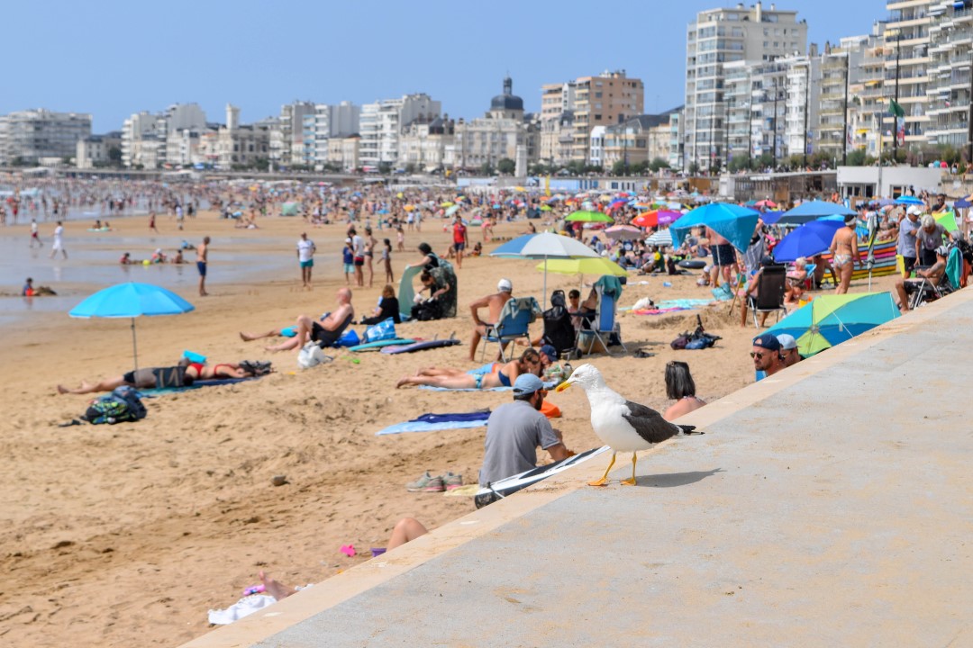 La Grande Plage, Prom. de l'Amiral Lafargue, 85100 Les Sables-d'Olonne