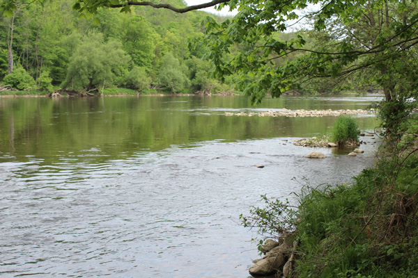 Paddle-the-Grand-River-launch-point-Lets-Discover-ON