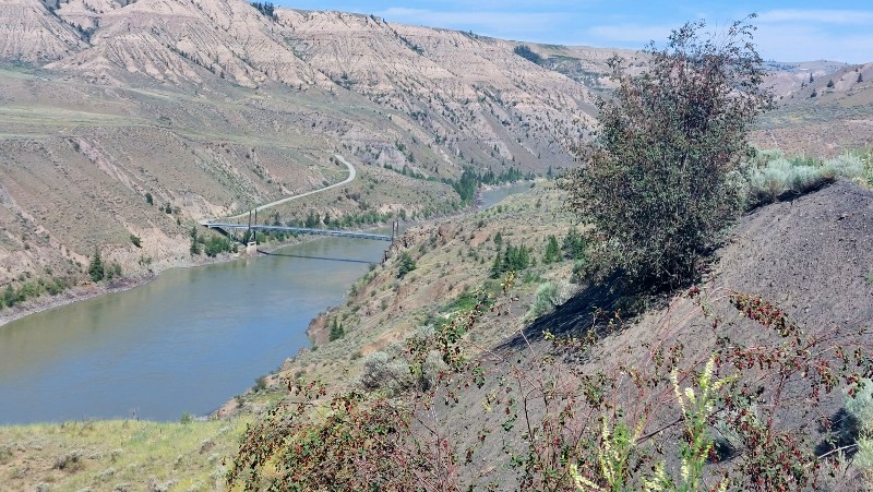 Bridge across Fraser River to Gang Ranch