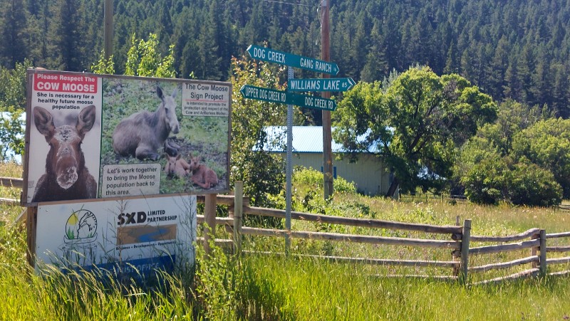 Meadow Lake Dog Creek Road, major sign post