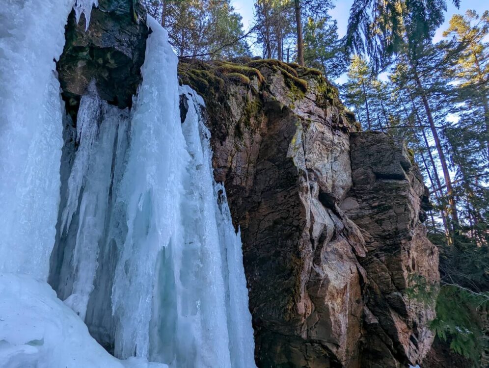 Frozen waterfall on a canyon wall, surrounded by trees