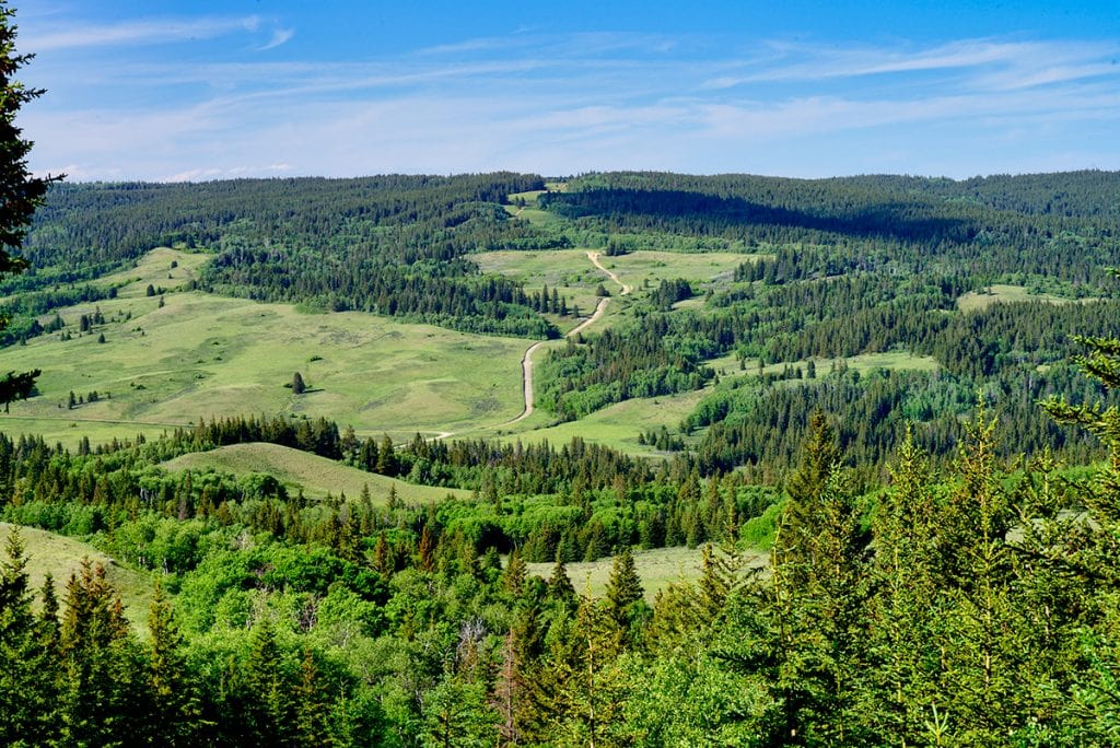 Roads in the West Block of Cypress Hills Interprovincial Park, Saskatchewan