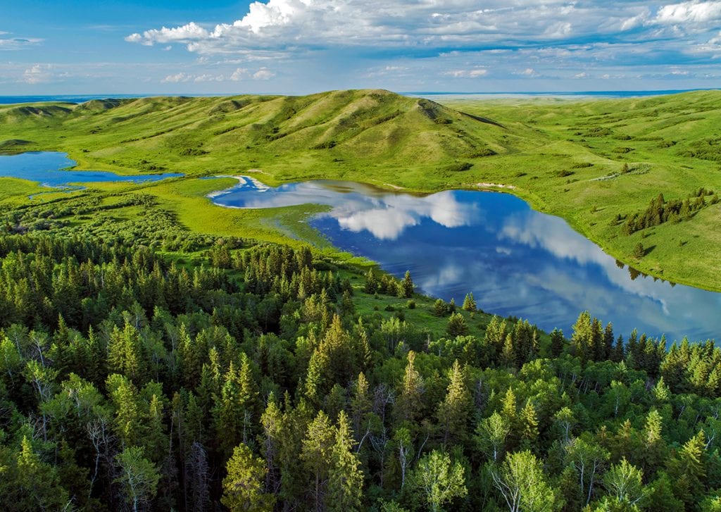 Adams Lake, Cypress Hills Interprovincial Park, Saskatchewan