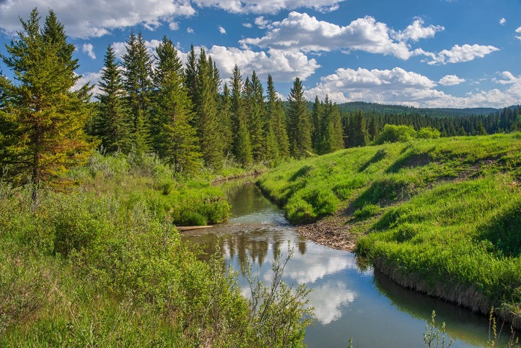 Battle Creek, Cypress Hills Interprovincial Park, Saskatchewan