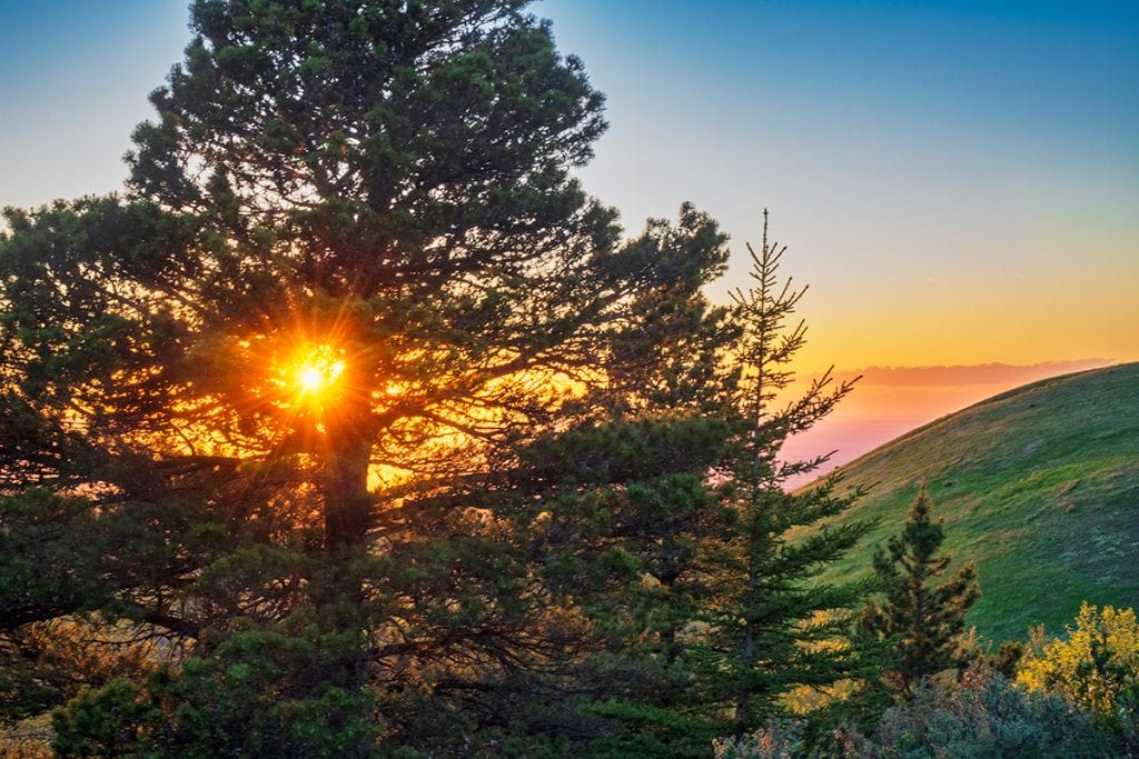 Sunset at Bald Butte, Cypress Hills, Saskatchewan