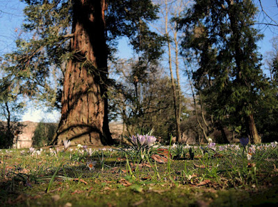 Botanical Gardens in Lucca