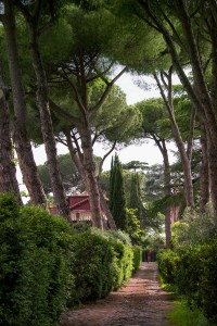 Villa nestled beneath towering umbrella pines along the Via Appia Antica.