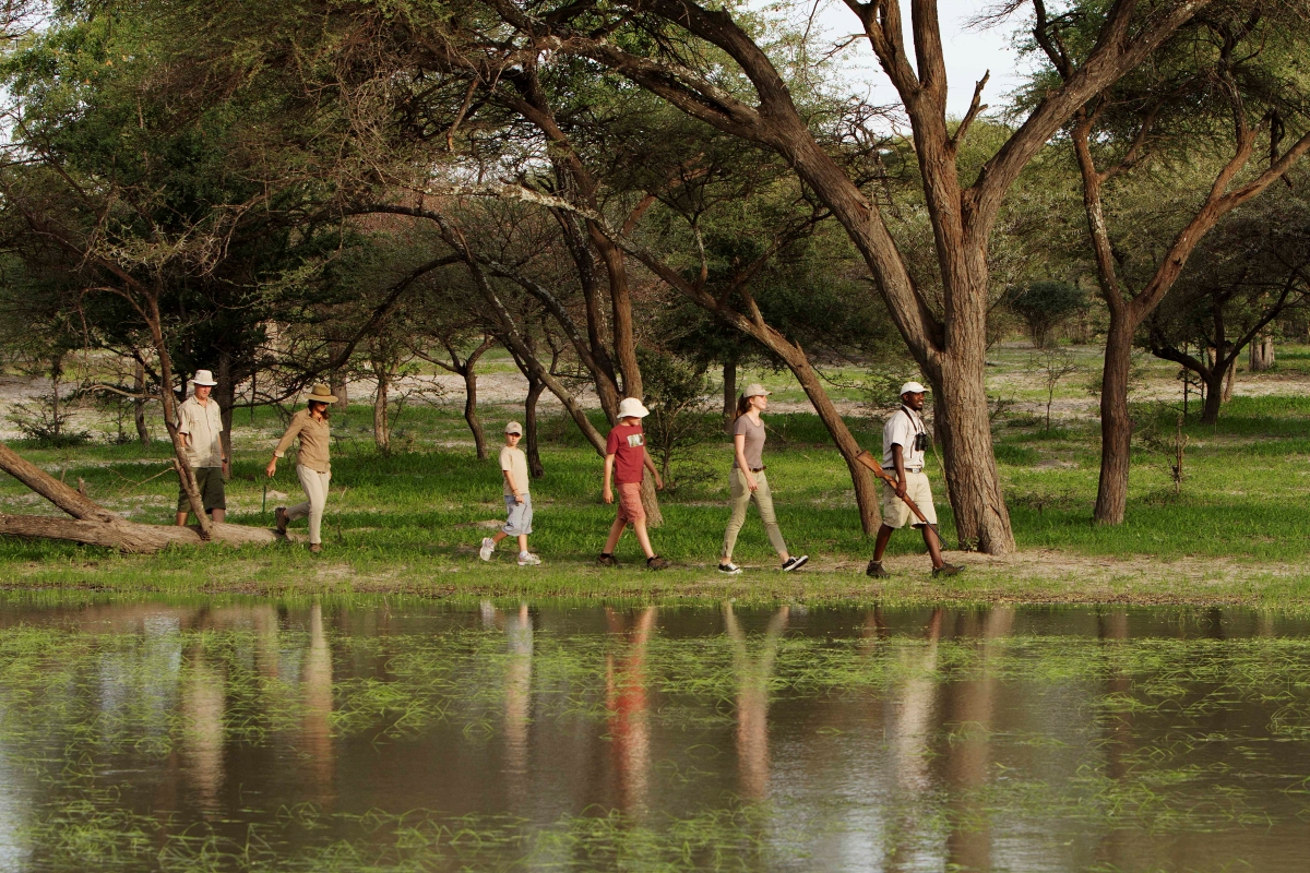 A walking safari at Shinde Camp